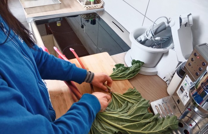 osoba obiera liście rabarbaru