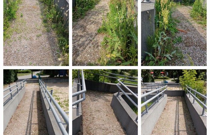 na gorze 3 zdjecia pokazujace chwasty na po bokach drogi, na dole trzy zdjecia pokazujace zlikwidowane chwasty