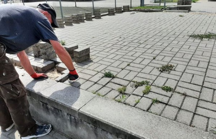 osoba wycina chwasty pomiedzy kostką brukową