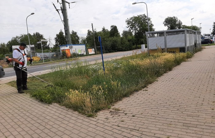 osoba wycina trawę kosą spalinową