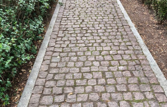 wyczyszczona ścieżka z kostki brukowej