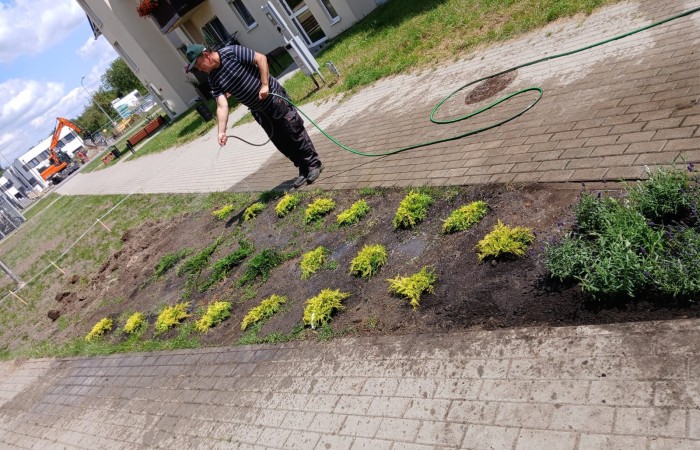 osoba podlewa rośliny