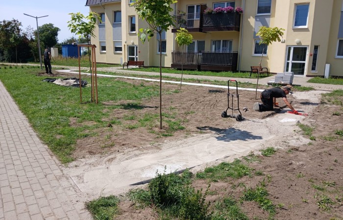 osoba pielęgnuję ścieżkę z chawstów