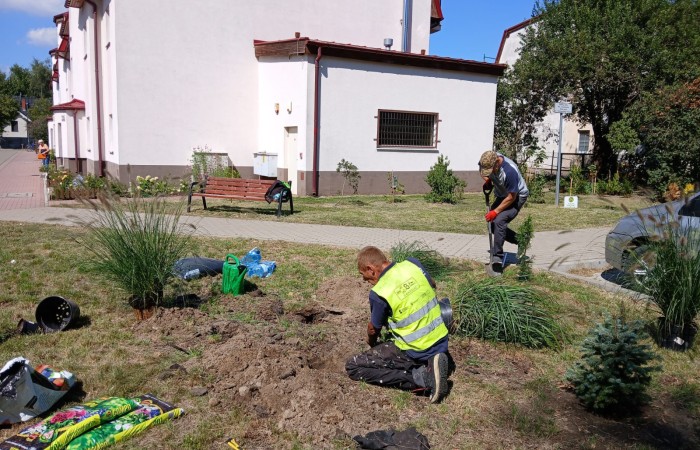 osoby podczas porządkowania terenu zielonego