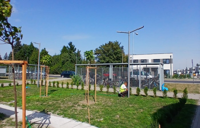 oczyszczony plac