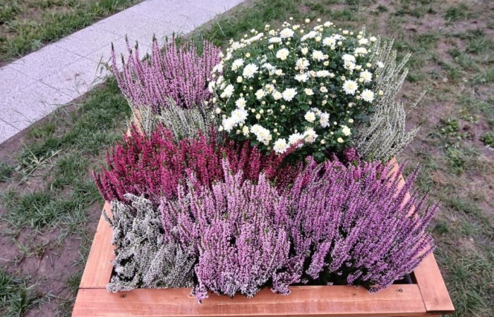 widok na plac z wykonanymi meblami