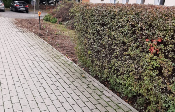 Ścieżka z kostki brukowej obok żywopłotu przy budynku. W tle widać narzędzia ogrodnicze i pojazdy zaparkowane w pobliżu