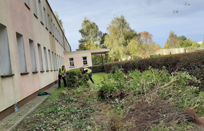 Pracownicy w kamizelkach odblaskowych przycinający krzewy obok budynku. Teren jest pokryty świeżo ściętymi gałęziami