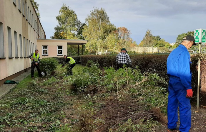  Kilka osób pracujących nad przycinaniem roślin przy budynku. Widoczne są krzewy oraz duża ilość odpadów roślinnych