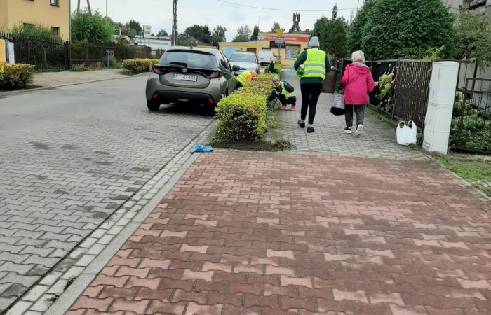 Osoby sprzątające teren chodnika przy drodze. Jedna osoba w kamizelce odblaskowej pracuje w otoczeniu krzewów, a obok stoją samochody