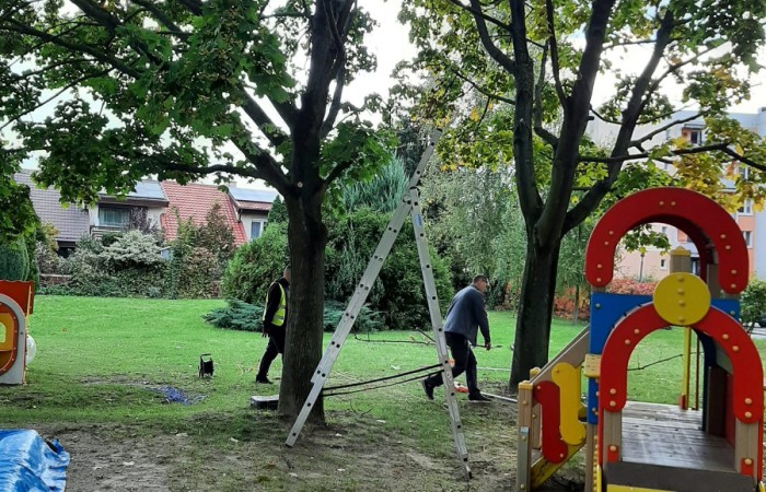  Dwie osoby przy placu zabaw na trawniku, pracujące przy drzewie. Widoczna jest drabina oraz plac zabaw z kolorowymi elementami