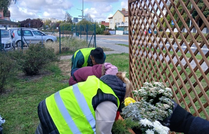 Kilka osób w kamizelkach odblaskowych sadzi jesienne kwiaty w drewnianej donicy z kratką na pergolę przy ulicy Granicznej.