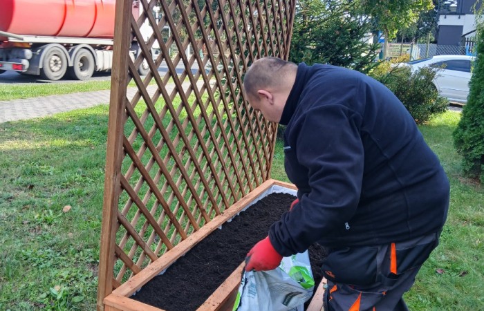 Osoba w czarnej odzieży z czerwonymi rękawiczkami przygotowuje donicę, wsypując ziemię do drewnianej skrzynki z pergolą na tle ulicy.