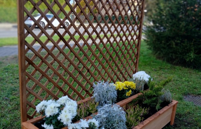 Drewniana donica z kratką pergoli, wypełniona jesiennymi kwiatami, stojąca na zielonym trawniku przy ulicy.