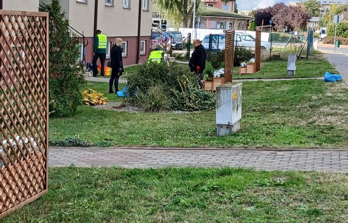  Pracownicy i mieszkańcy ustawiający donice i porządkujący teren zielony przy ulicy Granicznej, przed budynkiem mieszkalnym.