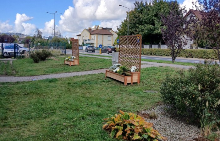 Widok na kilka drewnianych donic z pergolami i posadzonymi jesiennymi kwiatami, umieszczonych na trawniku przy ulicy Granicznej. W tle widoczne są budynki mieszkalne i droga.